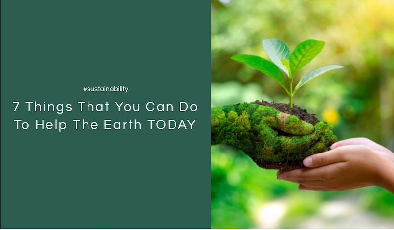 7 things you can do to help the earth today 